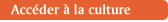 Accéder à la culture